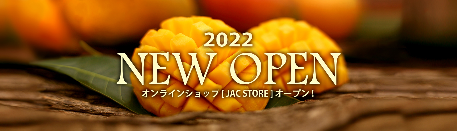 JAC STORE_オープン告知